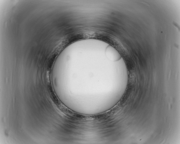 X0000099320598200805020755