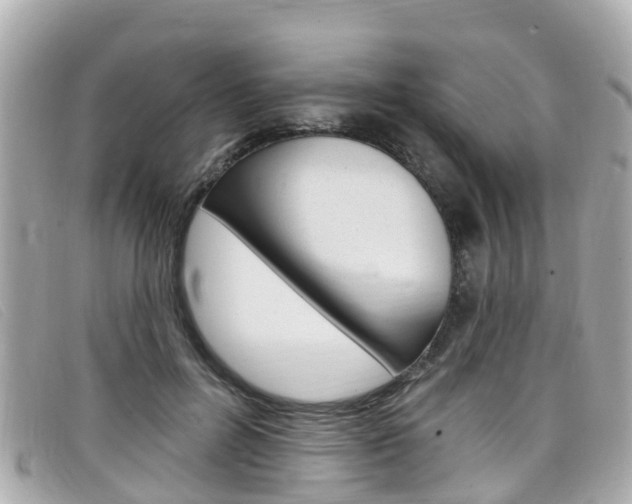 X0000099320600200805020755
