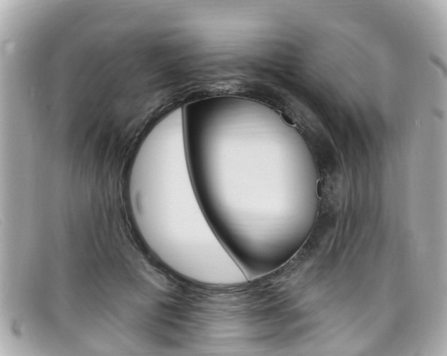 X0000099320601200805020755