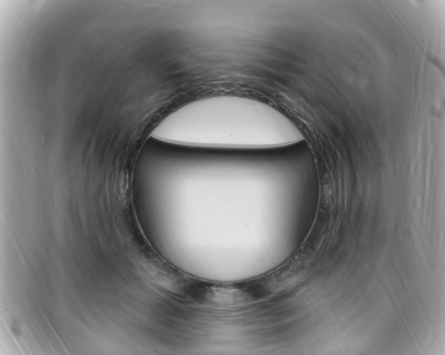 X0000099320605200805020755