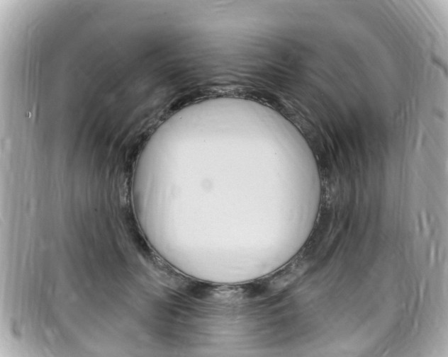 X0000099320606200805020754