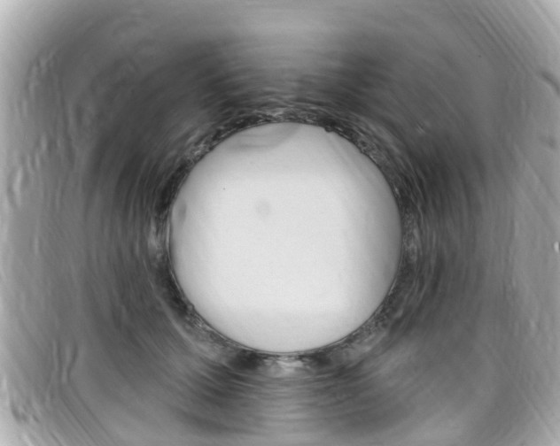 X0000099320607200805020754