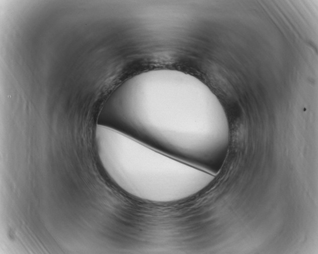 X0000099320608200805020754