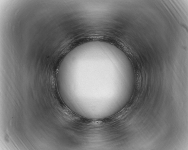 X0000099320609200805020754