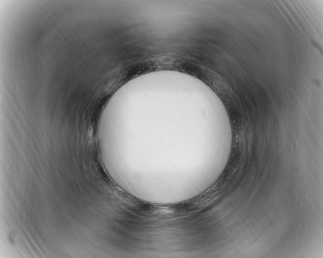 X0000099320610200805020754