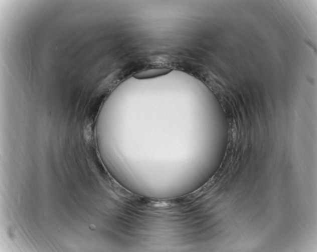 X0000099320611200805020754