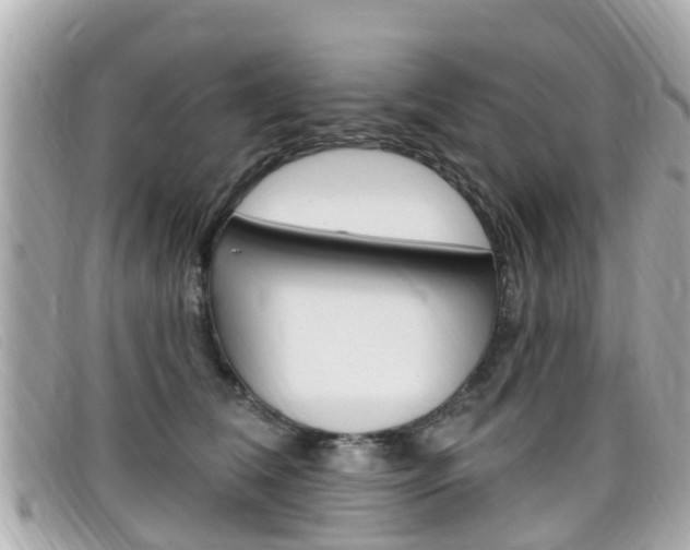 X0000099320612200805020754