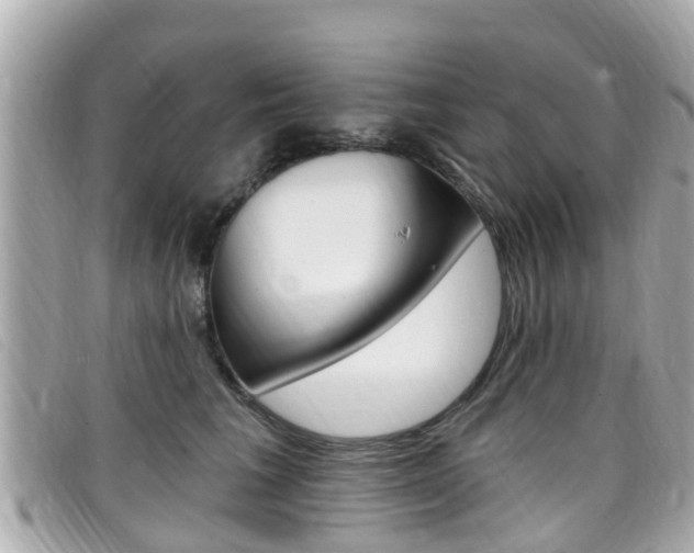 X0000099320613200805020754