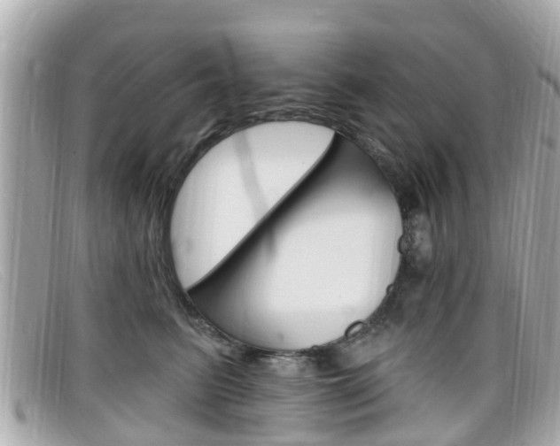 X0000099320615200805020754
