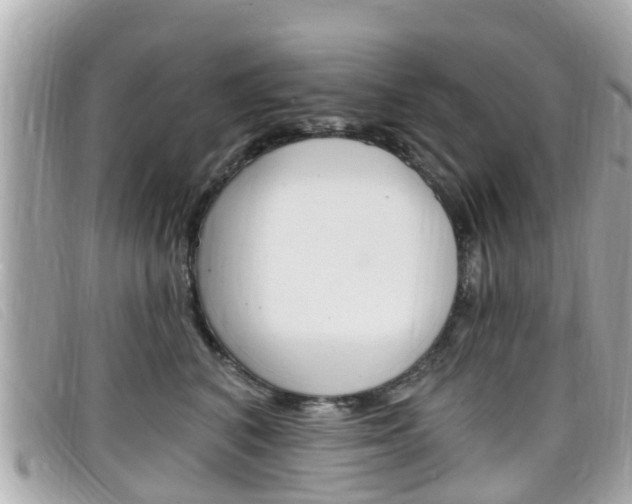 X0000099320616200805020754