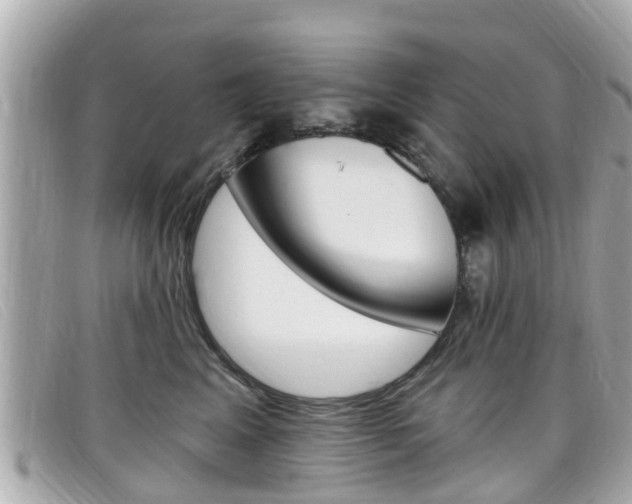 X0000099320617200805020754