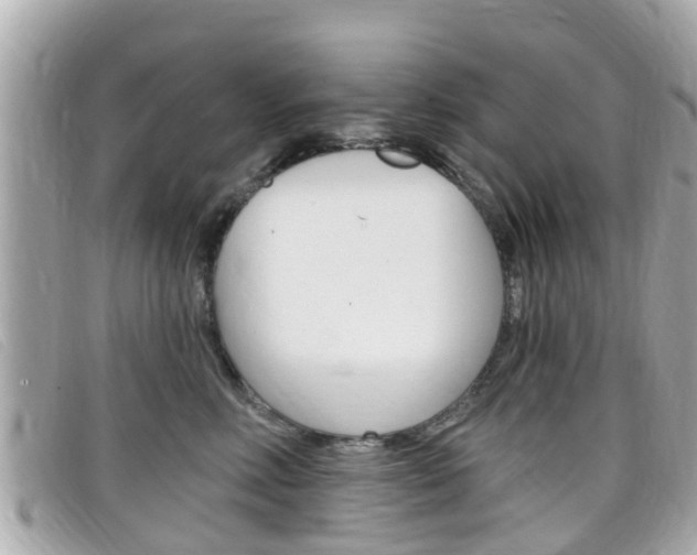 X0000099320618200805020754