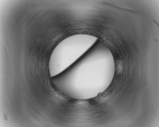 X0000099320619200805020754