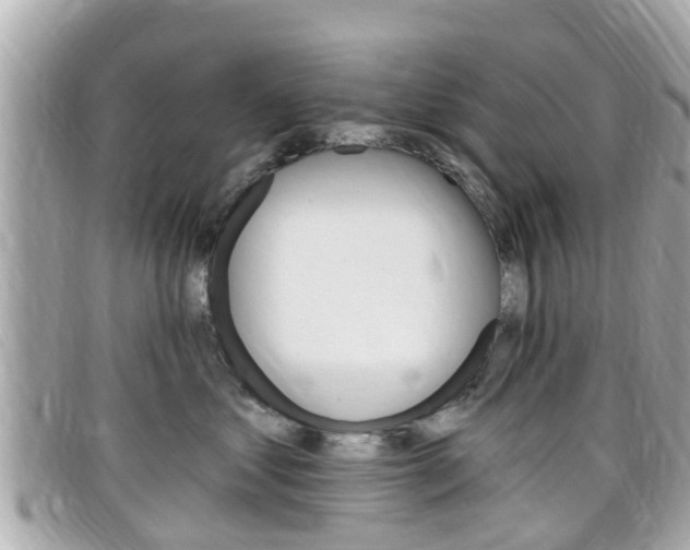 X0000099320621200805020754