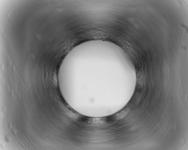 X0000099320622200805020754