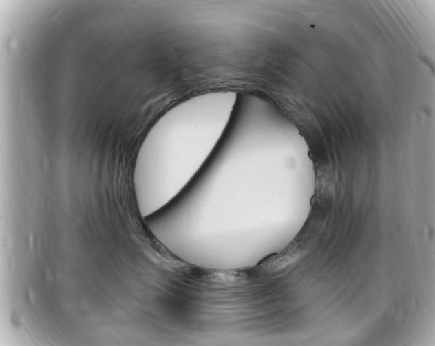 X0000099320623200805020754