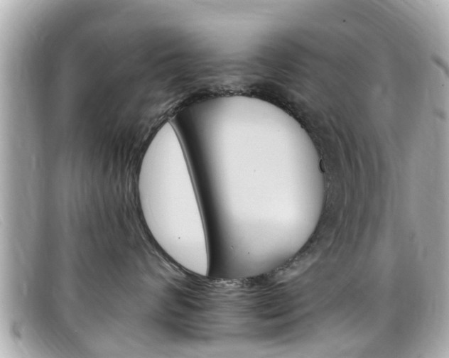 X0000099320624200805020754