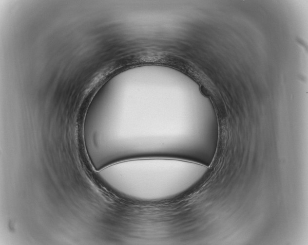 X0000099320626200805020754