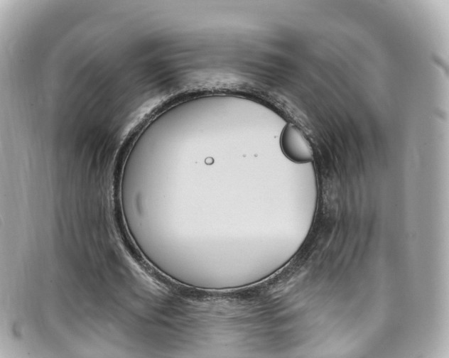 X0000099320629200805020754