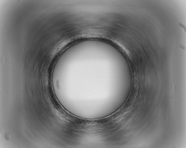 X0000099320631200805020754