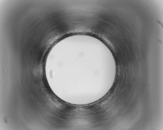 X0000099320632200805020754