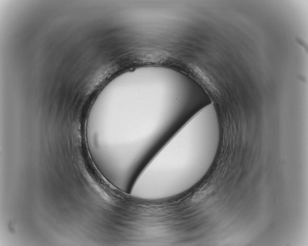 X0000099320634200805020754