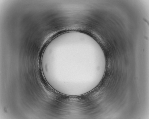 X0000099320636200805020754