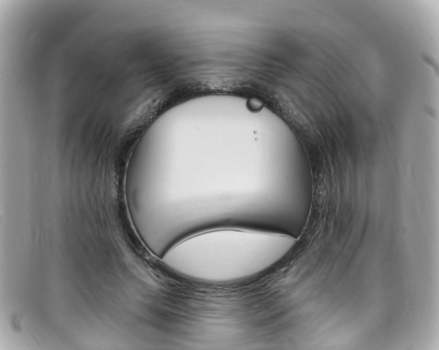 X0000099320639200805020754
