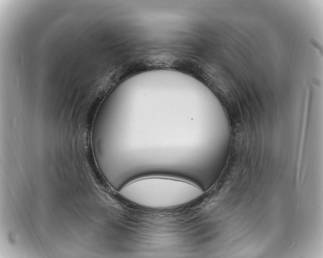 X0000099320641200805020754