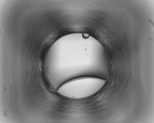 X0000099320643200805020754
