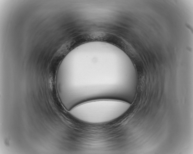 X0000099320644200805020754
