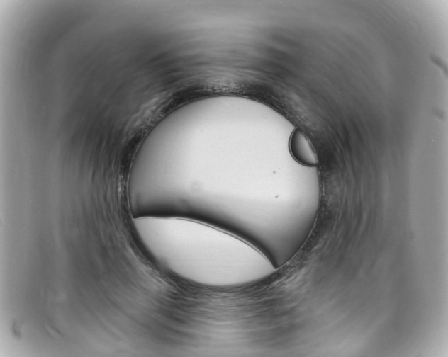 X0000099320645200805020754