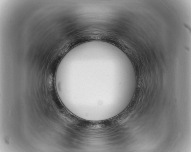 X0000099320646200805020754