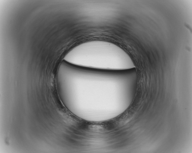 X0000099320649200805020754