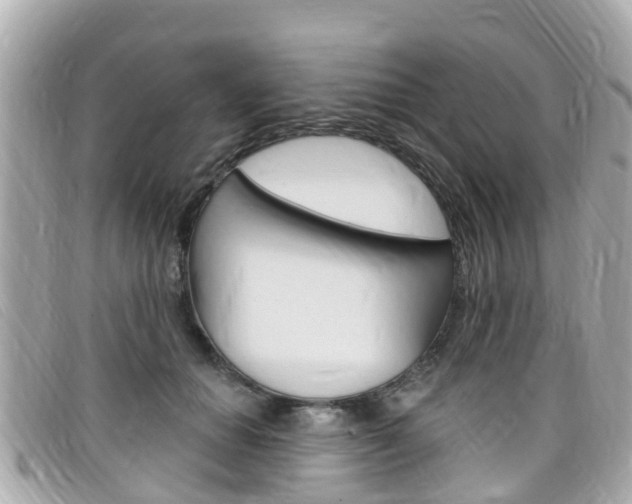 X0000099320654200805020754