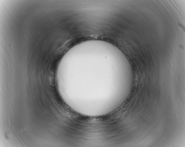 X0000099320656200805020754