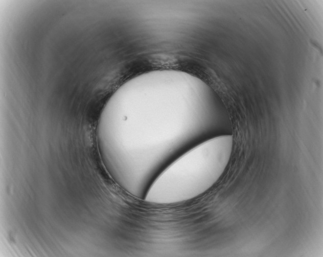 X0000099320658200805020754