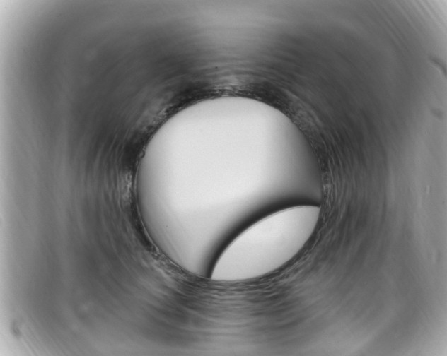 X0000099320660200805020754