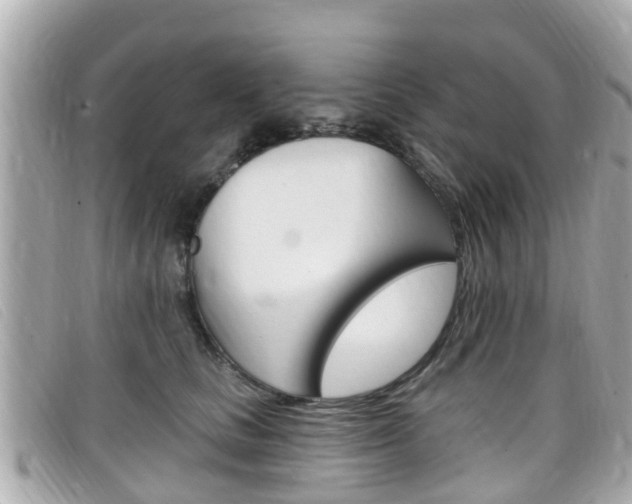 X0000099320661200805020754