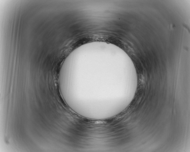 X0000099320663200805020754