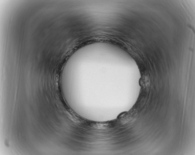 X0000099320664200805020754