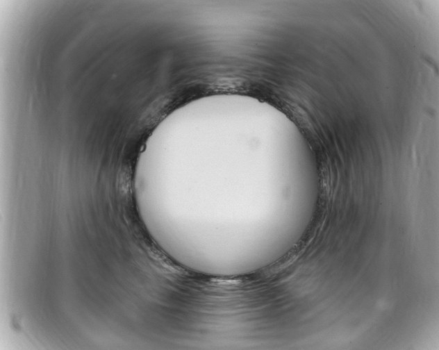 X0000099320665200805020754