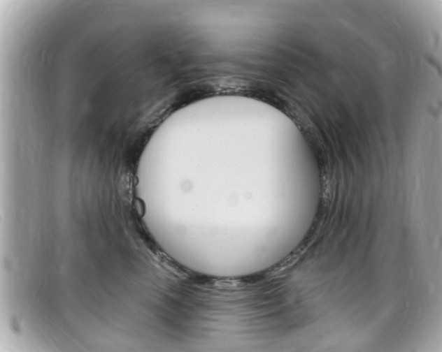 X0000099320666200805020754