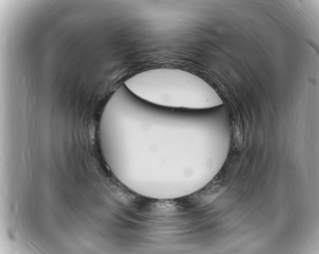X0000099320668200805020754