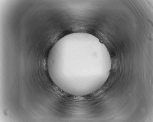 X0000099320669200805020754