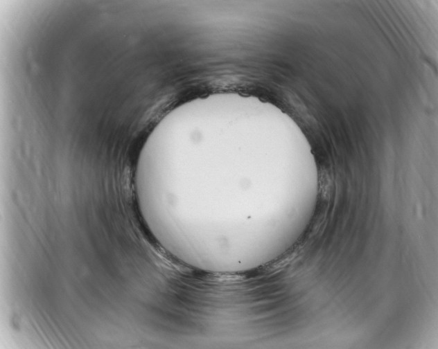 X0000099320670200805020754