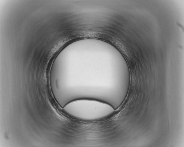 X0000099320674200805020754