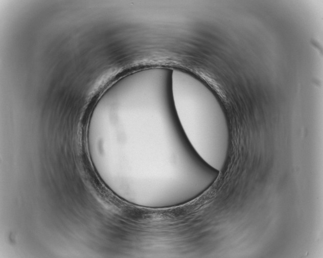 X0000099320678200805020754
