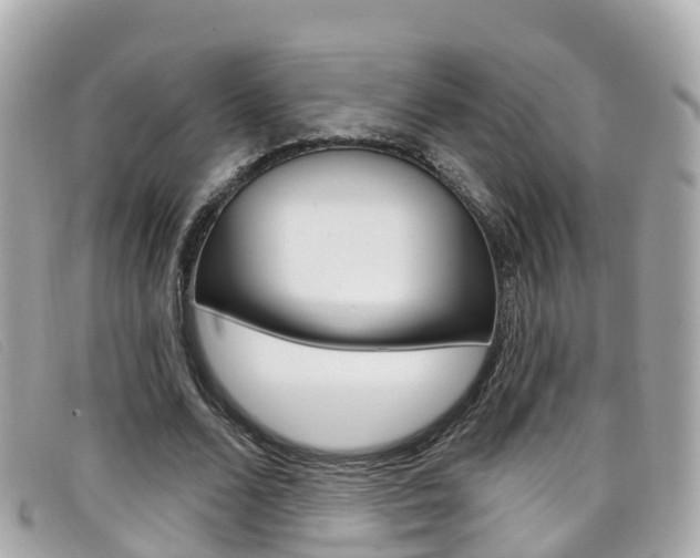 X0000099320680200805020753