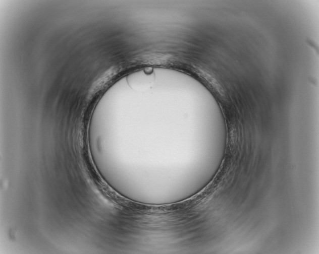 X0000099320682200805020753